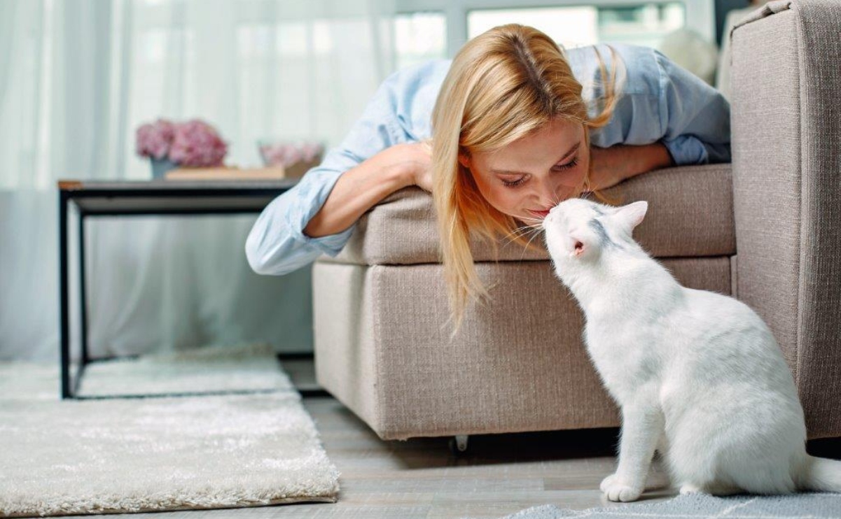 Perché i gatti profumano, tanto che esiste una fragranza al profumo di gatto?