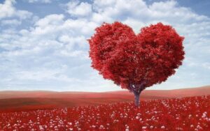 San Valentino: tra frustate, martiri e poesie, scopriamo le origini della festa degli innamorati. San Valentino: tra frustate, martiri e poesie, scopriamo le origini della festa degli innamorati.