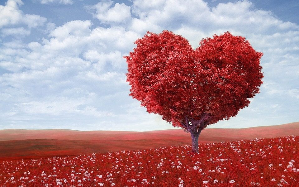 San Valentino: tra frustate, martiri e poesie, scopriamo le origini della festa degli innamorati.