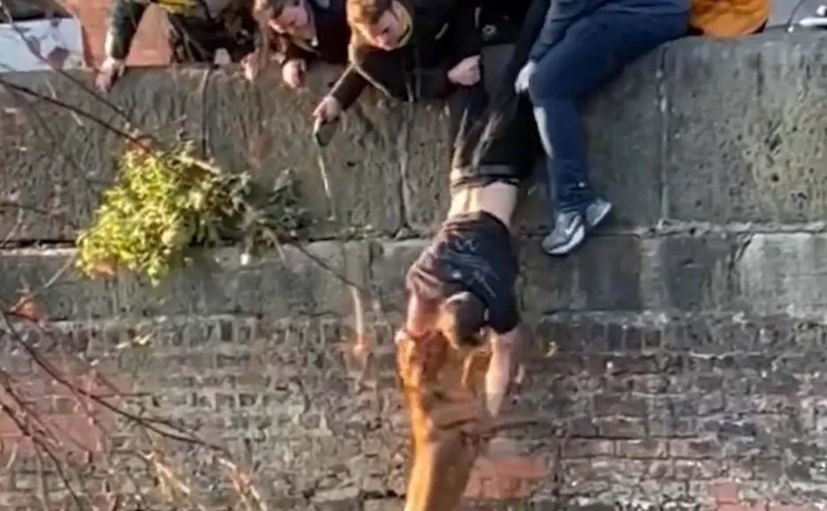 Il commovente video degli studenti che si sono messi a testa in giù per salvare un cane caduto in un canale a Manchester