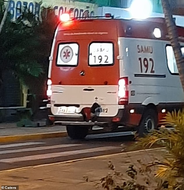 Brasile: Cagnetta sale a bordo dell’ambulanza per accompagnare il suo padrone in ospedale