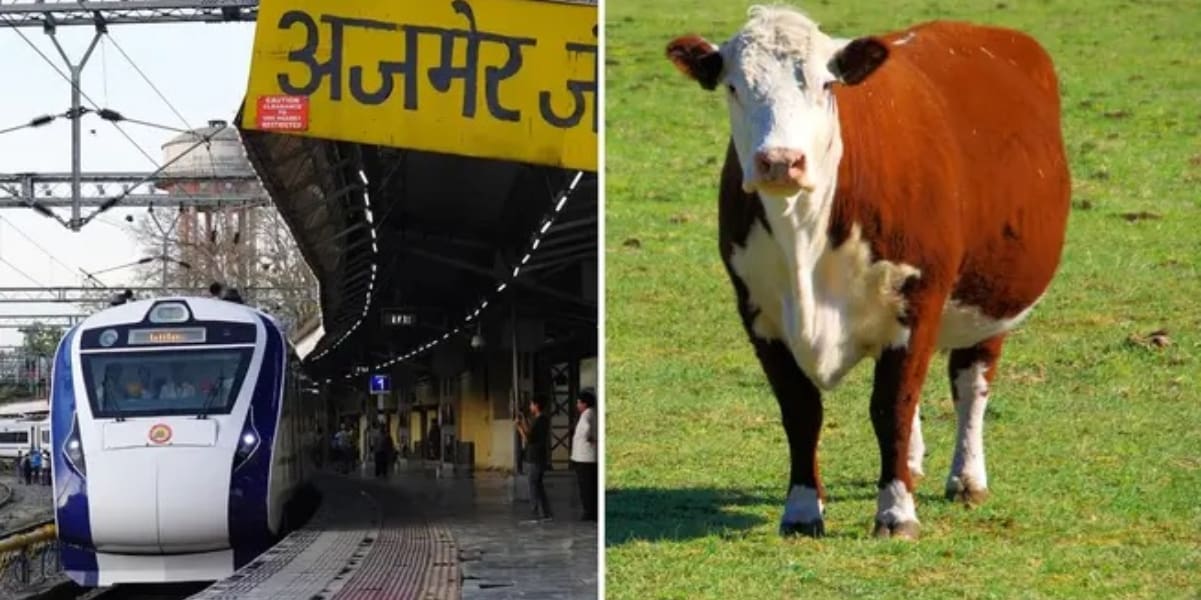 Bizzarro ma vero: In India una Mucca Volante colpisce e uccide un pensionato che urina sui binari