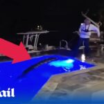 [Video] Florida: Uomo Trova enorme coccodrillo in piscina