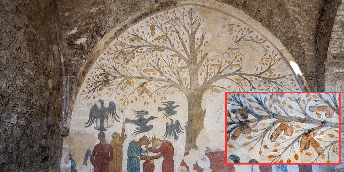 Massa Marittima Fonte dell'abbondanza Albero del pene