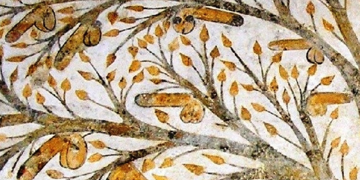 Massa Marittima Fonte dell'abbondanza Albero del pene