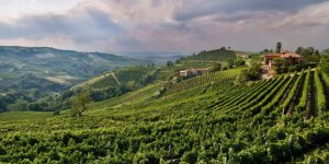 Oltrepò Pavese, alla scoperta di una gastronomia eccellente attraverso una guida del Gambero Rosso Oltrepo Gambero rosso quatarrob