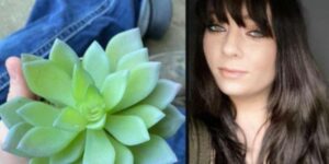 Si prende cura di una pianta per 2 anni, poi scopre che è finta. Donna americana devastata dalla tristezza. Si prende cura di una pianta per 2 anni, poi scopre che è finta. Donna americana devastata dalla tristezza.