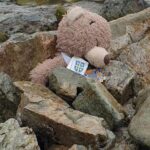 Orsacchiotto giramondo salvato dopo essere stato dimenticato in cima a una montagna in Scozia