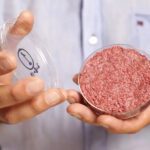 Carne coltivata al via la vendita negli stati Uniti