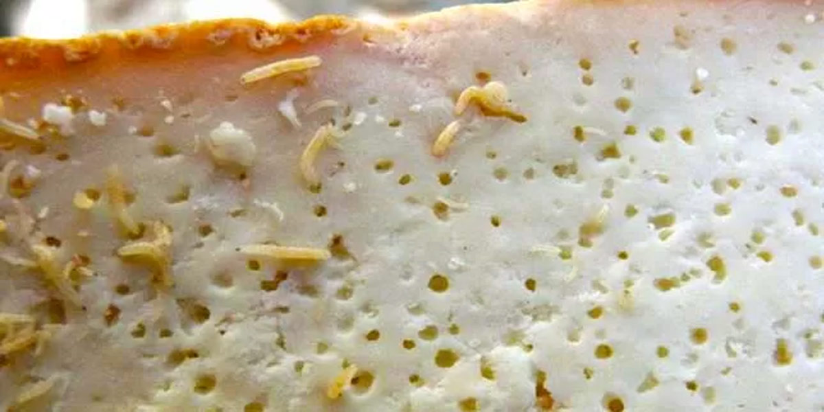 Casu Marzu