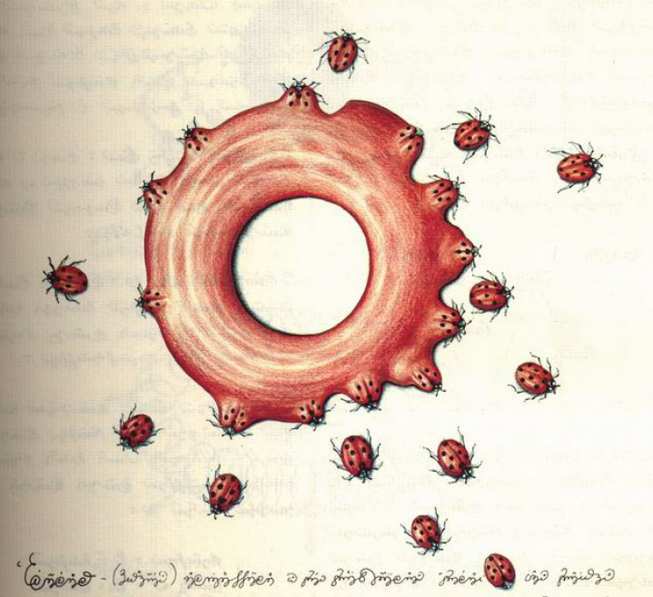 Codex Seraphinianus Luigi Serafini