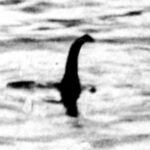 Ricercatori e cacciatori di mostri condurranno la più grande ricerca del mostro di Loch Ness degli ultimi 50 anni