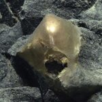 Il mistero della “sfera d’oro” trovata in fondo al mare