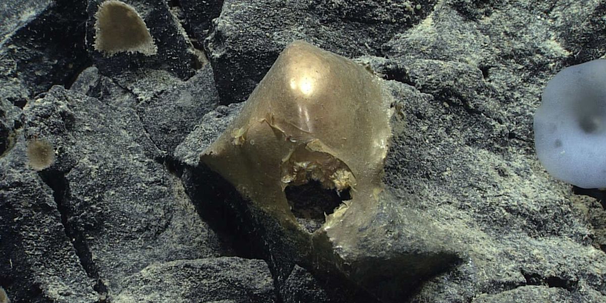 Il mistero della “sfera d’oro” trovata in fondo al mare