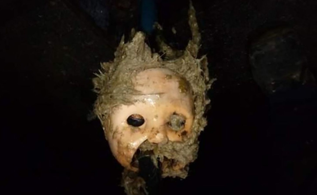 Testa di bambola gettata in un WC causa spaventoso intasamento prima di Halloween