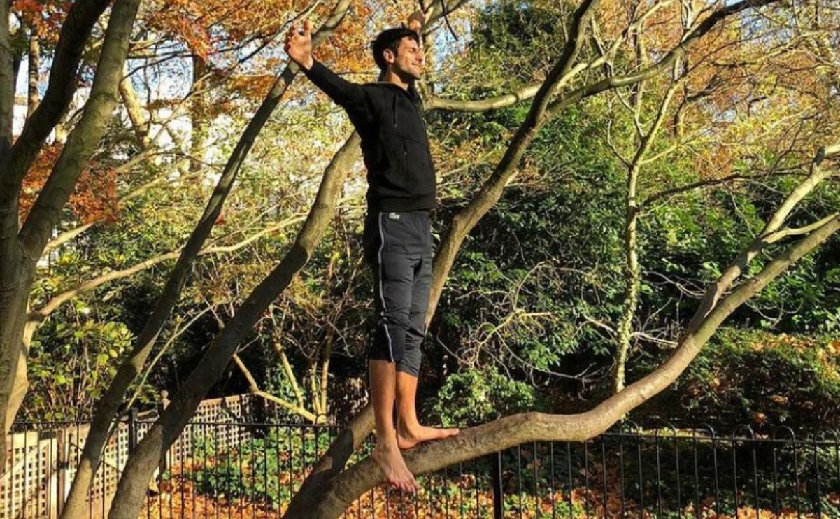 Il rapporto speciale tra il numero uno del tennis mondiale Novak Djokovic ed un albero