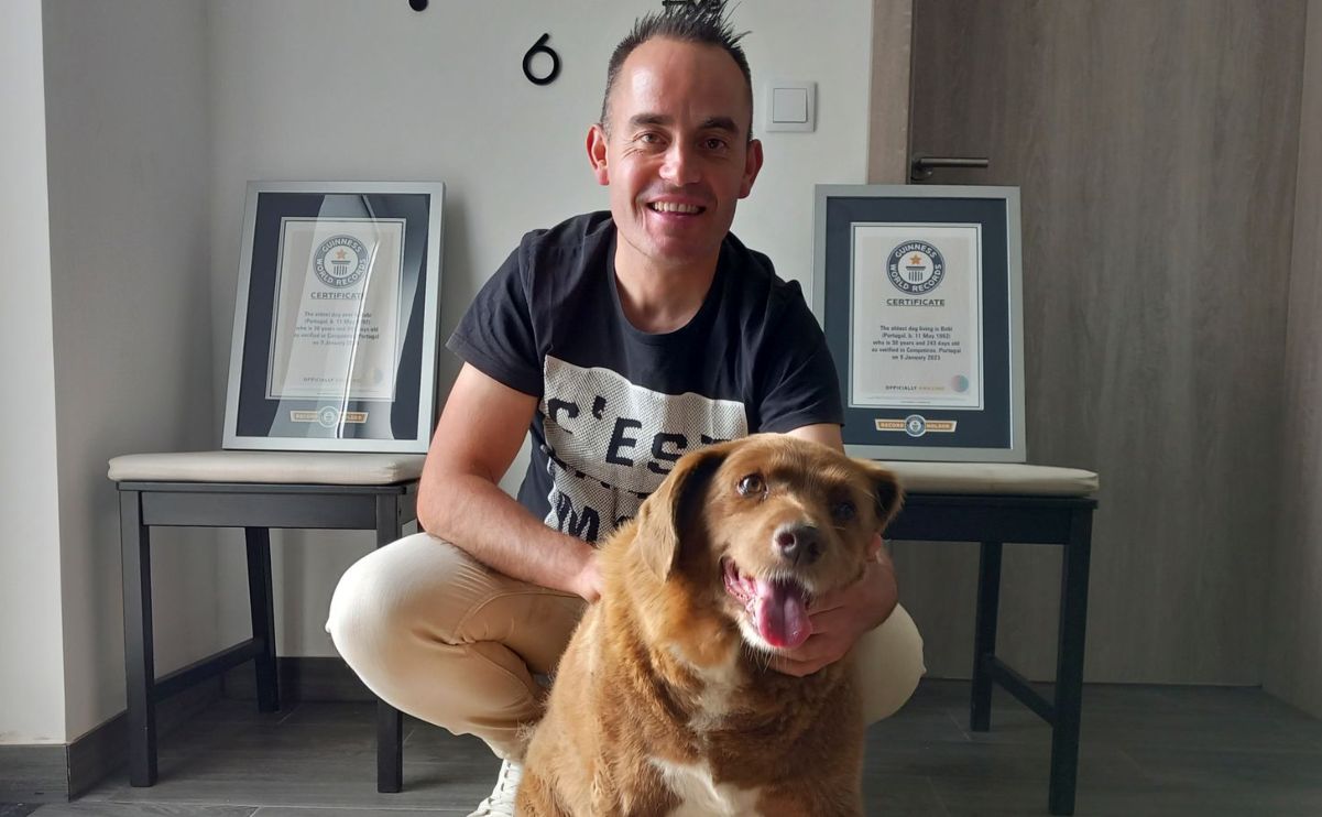 Bobi, premiato del Guinness World Records come cane più vecchio del mondo, è stato privato del titolo