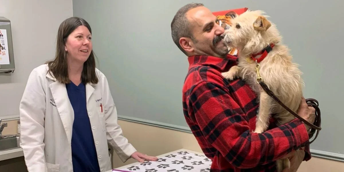 Cane scomparso ritrovato dopo 9 mesi e a più di 2000 miglia da casa