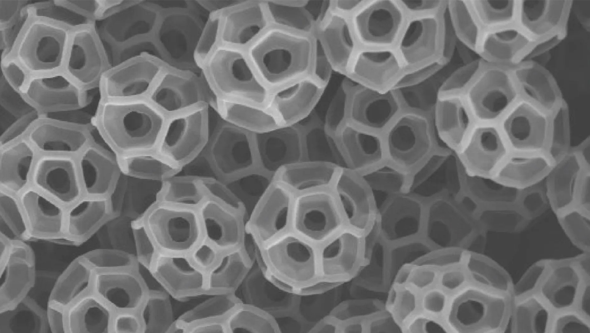 Brocosomi mantello dell'invisibilità - Come le cicaline ispirano la creazione di un materiale grazie alle loro particelle uniche.