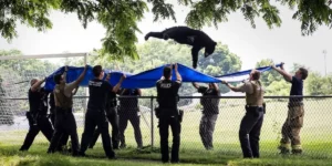 Orso sedato catturato dai soccorritori mentre cade da un albero in Pennsylvania
